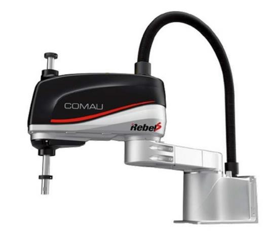 RCRebel-S6-0.60c󾯴aBSԃ